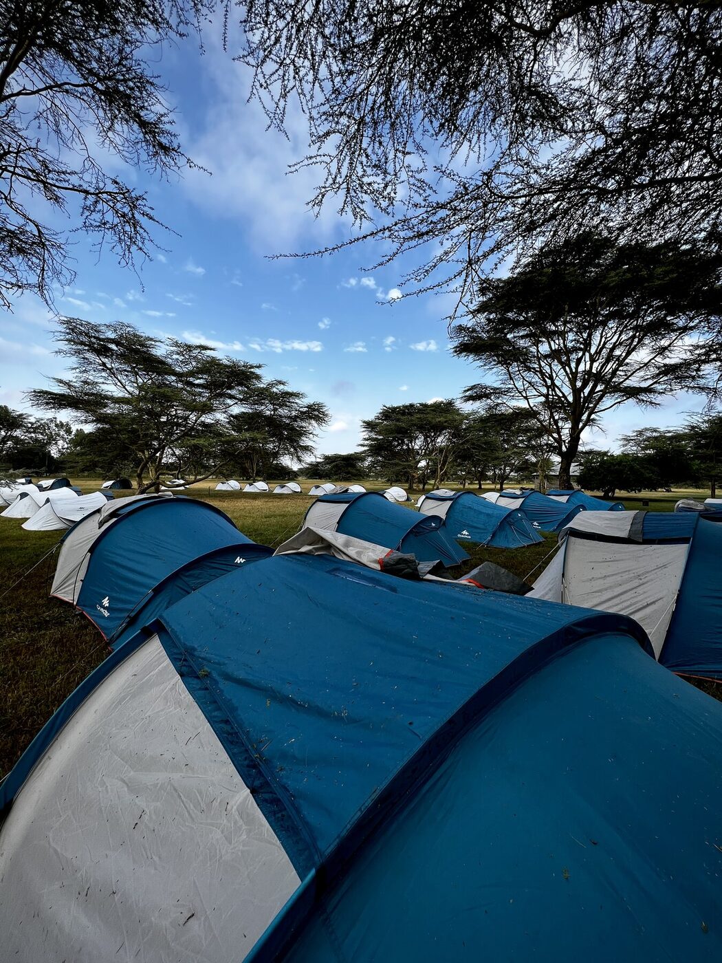 Camp overview