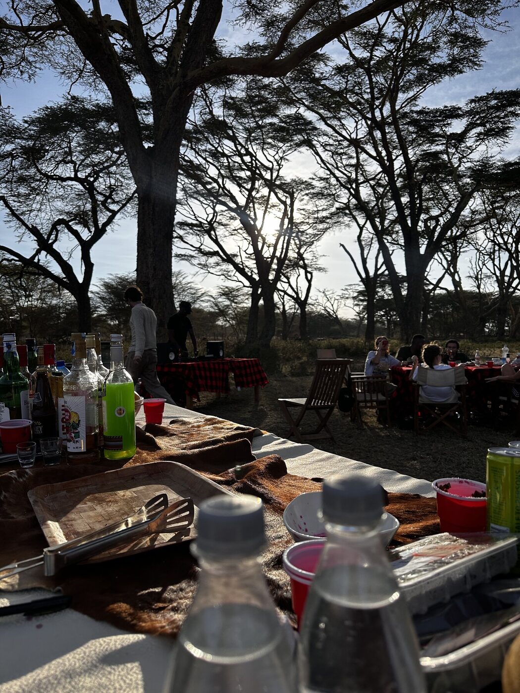Outdoor bush dining