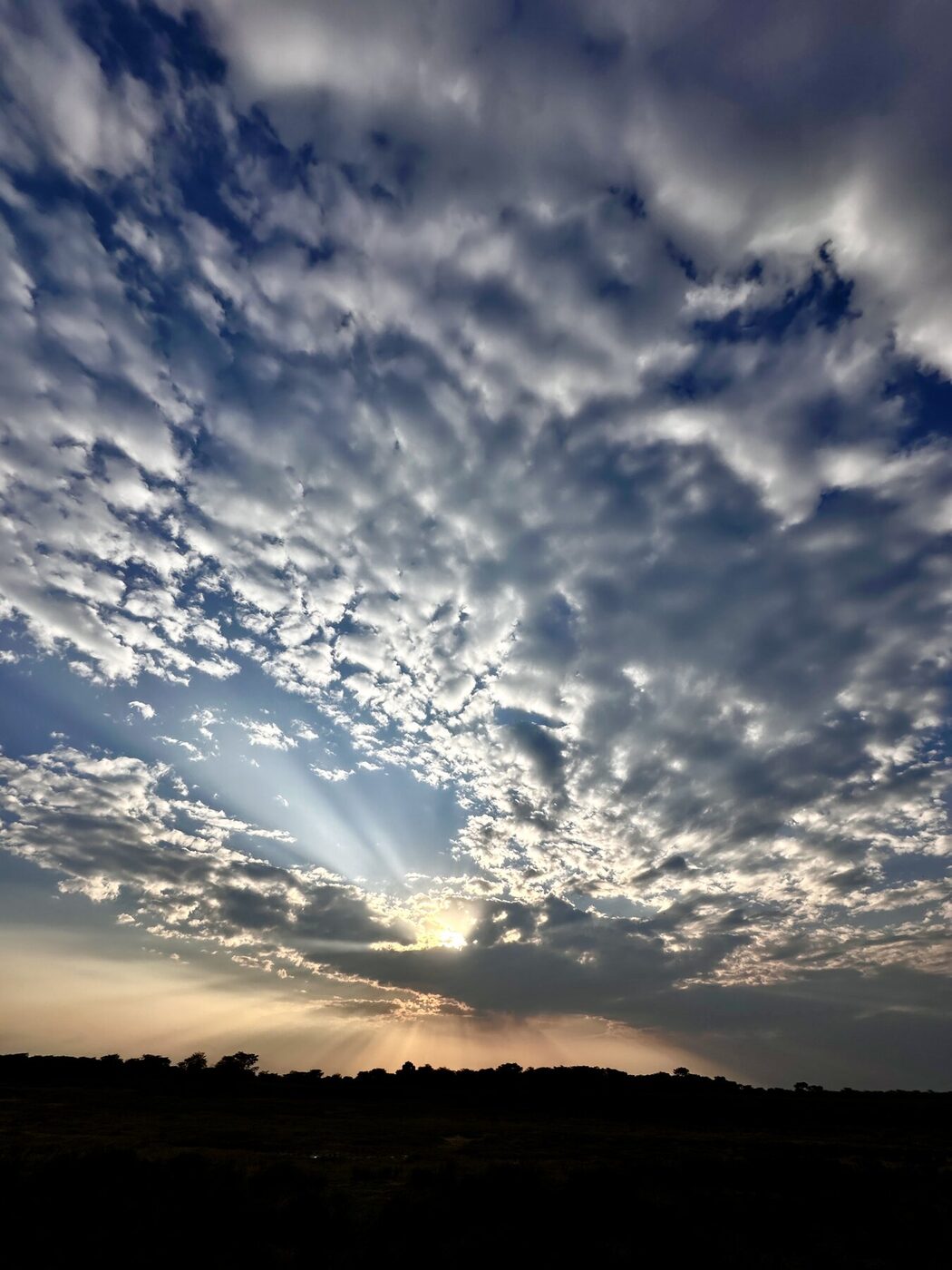 Maasai Mara sunset