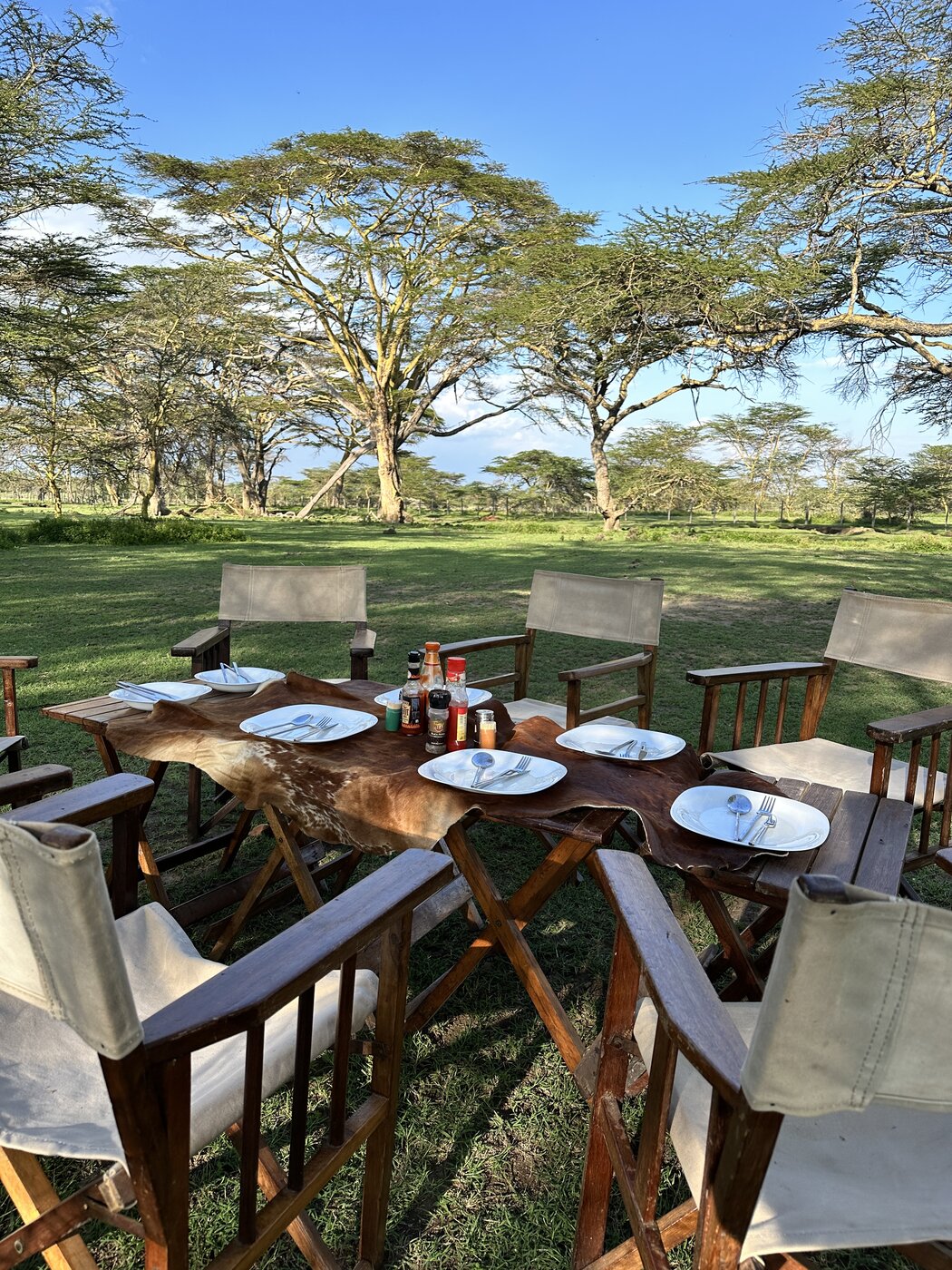 Sundowners — open-air dining under acacia trees