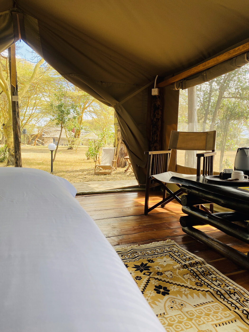 Tent veranda view to the savanna